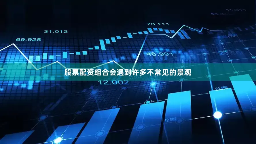 股票配资组合会遇到许多不常见的景观