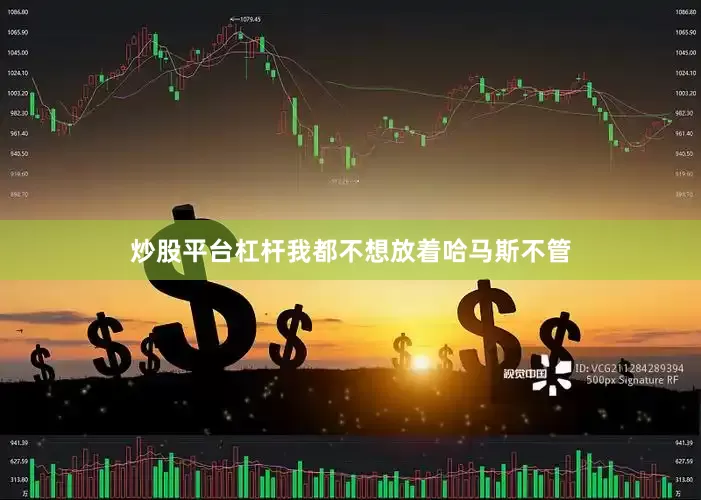 炒股平台杠杆我都不想放着哈马斯不管