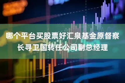 哪个平台买股票好汇泉基金原督察长寻卫国转任公司副总经理